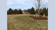 Affordable Lawn Care & Landscaping