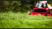 A 1 Lawn Care & Snow Removal