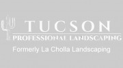 La Cholla Landscaping