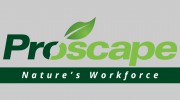 Proscape Landscaping