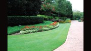 Atlanta Professional Landscaping