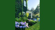 Teryl Designs Landscape Design