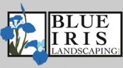 Blue Iris Landscaping