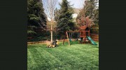 Dogwood Lawn Care