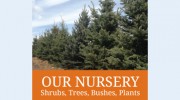 South Park Nursery & Landscaping