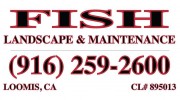 Fish Landscape & Maintenance